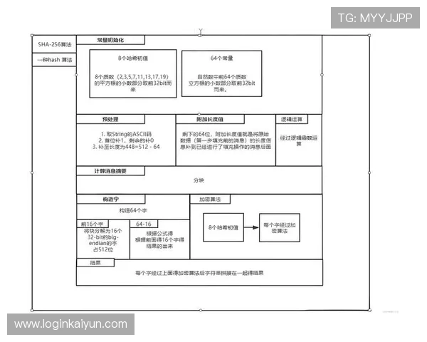 全面解析开云KY平台的注册流程与账号安全保障措施